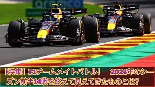 【特集】F1チームメイトバトル！ 2024年のシーズン前半14戦を終えて見えてきたものとは？game [upl. by Modnarb116]