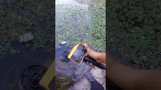 Part 03 Metal Detector with in Search of Treasure metaldetector shorts [upl. by Swain]