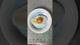 Moldable Plastic Sunny Side Up Egg 🍳 [upl. by Drucilla]