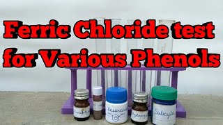 Ferric Chloride Test for various Phenols [upl. by Wayolle841]