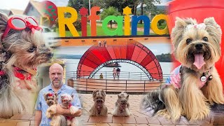 VIAGEM PET FRIENDLY RIFAINA [upl. by Woolcott]