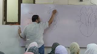 CVS Video  Lec 2  DrMahmoud allam  2 [upl. by Duquette]