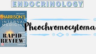 PHEOCHROMOCYTOMA  Rule of 10s  Clinical Features  Diagnosis  Management  Rapid Review [upl. by Nace261]