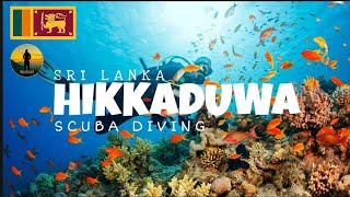 Hikkaduwa Scuba Diving by TravelHut  Sri Lanka  හික්කඩුව [upl. by Alon471]