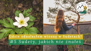 Wiosna w Sudetach  Wiosenne kwiaty  Rezerwat przyrody Jeziorko Daisy  Wąwóz Myśliborski [upl. by Easter]