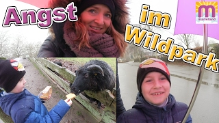 ANGST im Wildpark  Vlog 34 marieland [upl. by Chrystal]