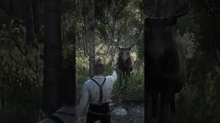 Camping Deer  RDR2 shorts videogames arthurmorgan [upl. by Ahsilaf]