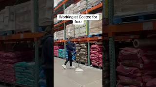 I Tried Working at a random Costco for Free [upl. by Casimire]