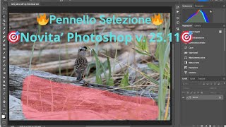 Photoshop novità🔥🔥Pennello Selezione novità v 2511🔥🔥 [upl. by Ingvar56]