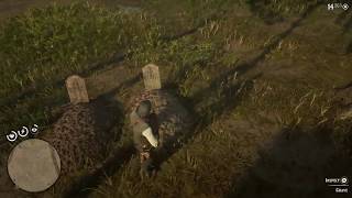 Hosea Matthews And Lenny Summers Grave LocationsRDR2 [upl. by Ayikahs125]