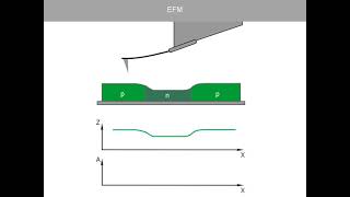 EFM AFM Theory from NTMDT [upl. by Sweet]