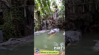 Explore the WILDEST Safari World in Bangkok [upl. by Conners]