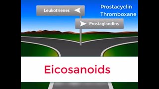 Eicosanoids in 2 minutes Prostaglandins Prostacyclin Thromboxane and Leukotrienes [upl. by Yklam]