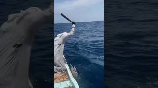 fishing 41 fishing maldives fish sea [upl. by Nollid]