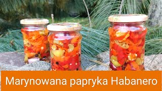 Marynowana papryka Habanero [upl. by Nollie866]