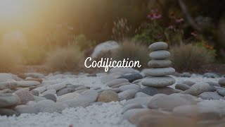 Codification  Subliminal Audio [upl. by Cayla287]