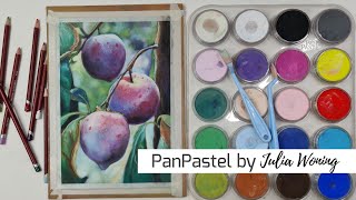 Plums in PanPastel by Julia Woning [upl. by Neva]