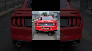 65세대 머스탱23 에코부스트 스피텍엑슬백 TeamMachine s550 mustang ecoboost axlebackspeetek [upl. by Liponis40]