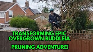 Transforming Epic Overgrown Buddleia Pruning Adventure A Day In The Life Of A UK Gardener EP21 [upl. by Morganstein530]