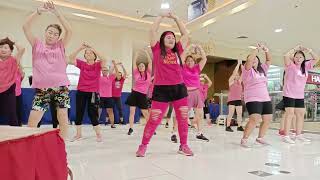 Hula Hoop  Zumba Dance Fitness  Gielie Zumba [upl. by Erreit744]