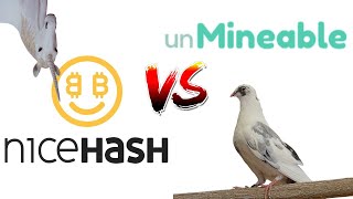 CPU Mining Nicehash vs Unmineable [upl. by Duff717]