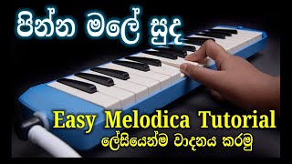 Pinna Male Suda Notation  පින්න මලේ  Music Sir Notation  Melodica Notes  Melodica Sinhala [upl. by Ttezzil]