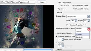 Install Converter SWF to GIF Animation 41 Full [upl. by Aeila449]