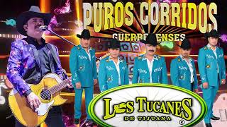 Los Tucanes De Tijuana Las Mas Pedidas ❤ Puros Corridos Pesados Mix 🌹 Roal Chingonas Mix [upl. by Arlo]