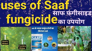 uses of Saaf fungicide साफ फंगीसाइड का उपयोग।Upl company [upl. by Jerrol]