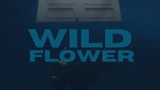 Billie Eillish  WILDFLOWER Lyrics [upl. by Nyberg803]