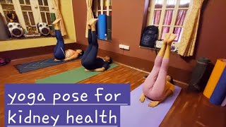 UTTANA PADASANA  YOGA POSTURE  RAISED LEG POSTURE FOR KIDNEY HEALTH [upl. by Janina510]