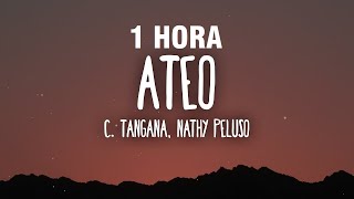 1 HORA C Tangana Nathy Peluso  Ateo LetraLyrics [upl. by Mccreary]