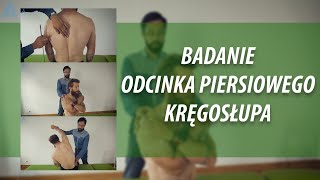 Badanie odcinka piersiowego kręgosłupa [upl. by Schreck]