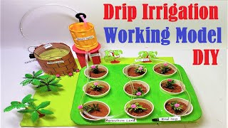 drip irrigation working model 3d science project  DIY using paper cup and cardboard  howtofunda [upl. by Urata]