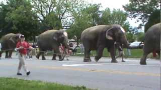 Ringling Brothers Circus Parade on Kenny Road Columbus OH [upl. by Diantha214]