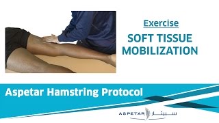 24 Exrcises  SOFT TISSUE MOBILIZATION [upl. by Ulund]