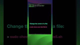 Linux commands for beginners part 21  Change file and folder ownership shorts [upl. by Enyaz]