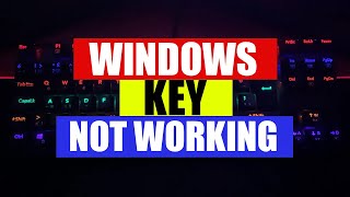 How to Fix Windows Key Not Working on Keyboard [upl. by Nylidnam]