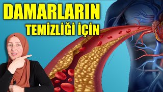 Damarları Temiz Tutmak İçin Ne Yapmalı  Fzt Aynur BAŞ [upl. by Thursby474]