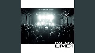 Elefant Live 2016 [upl. by Renferd]