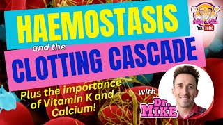 Hemostasis and the Clotting Cascade Why Vitamin K amp Calcium are important [upl. by Assilim]