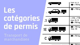 les différentes catégories de permis de conduire dans le domaine du transport de marchandises [upl. by Paxon757]