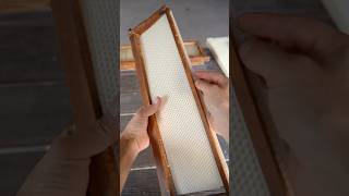 Preventing Wonky Comb amp Why Flow Hive doesn’t provide foundation Pt 3 flowhive beekeeping bees [upl. by Ebsen]