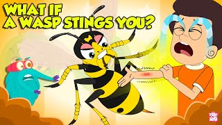 Are Wasp Stings Dangerous  What if a Wasp Stings You  How to Treat a Wasp Sting  Dr Binocs [upl. by Winsor]