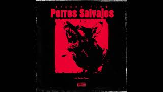 Perros Salvajes  Diendo Flow Audio Oficial [upl. by Ahtamat5]