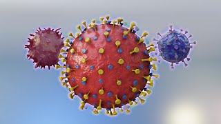 Explainer Why the COVID19 coronavirus was not made in a lab [upl. by Nibuz]