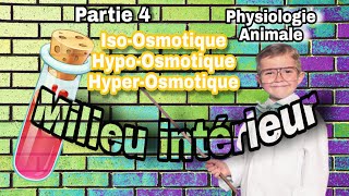 Physiologie Animale S4 Milieu intérieur partie 4 [upl. by Bancroft]