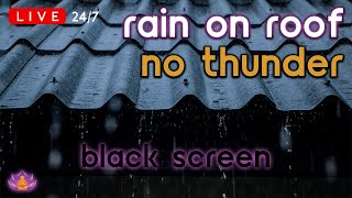 🔴 LIVE 247 Rain on Tin Roof  Rain Ambience No Thunder  Rain Sounds for Sleeping Black Screen [upl. by Pascia]