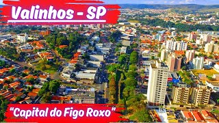 VALINHOS Oásis Paulista de Encantos e Desenvolvimento [upl. by Hsemar]