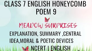 MEADOW SURPRISES  EXPLANATION SUMMARY CENTRAL IDEAMORALamp POETIC DEVICES  CLASS 7 ENGLISH POEM 9 [upl. by Rebba742]